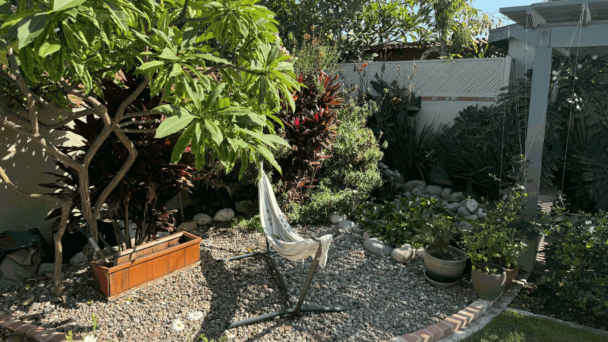 A hammock in a pebble garden under a plumeria tree